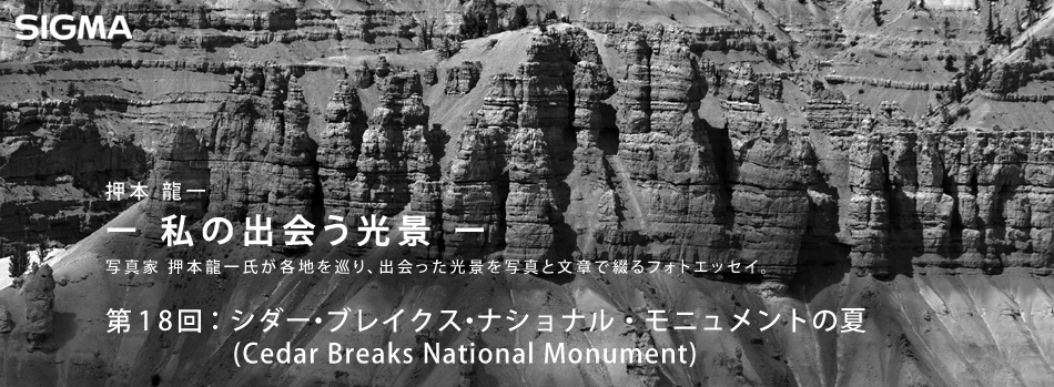 押本龍一 ― 私の出会う光景 ―　第18回：シダー・ブレイクス・ナショナル・モニュメントの夏 (Cedar Breaks National Monument)