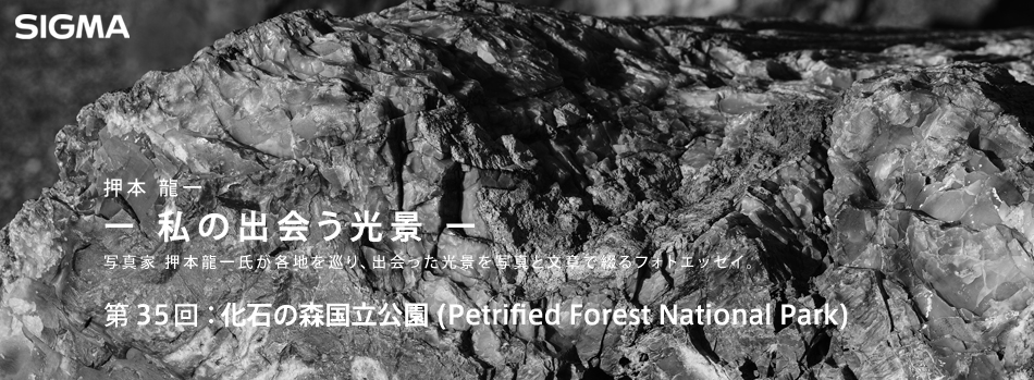 第35回：化石の森国立公園（Petrified Forest National Park）