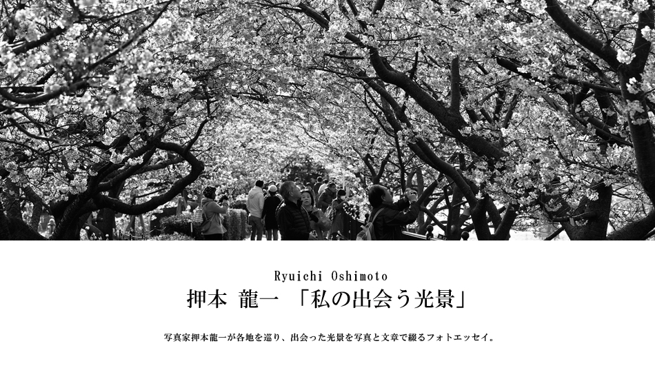 第173回：桜咲く河津川へ