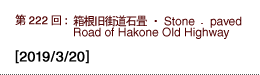 第222回：箱根旧街道石畳・Stone‐paved Road of Hakone Old Highway